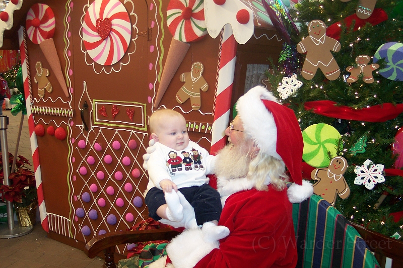 William's Twenty-Fourth Week 20.jpg